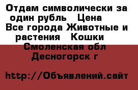 Отдам символически за один рубль › Цена ­ 1 - Все города Животные и растения » Кошки   . Смоленская обл.,Десногорск г.